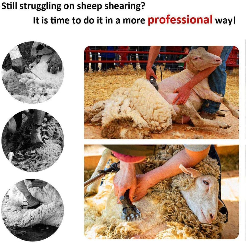 Professional Wool Shears, Adapted for Sheep Grooming