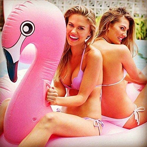 Flamingo swimming pool